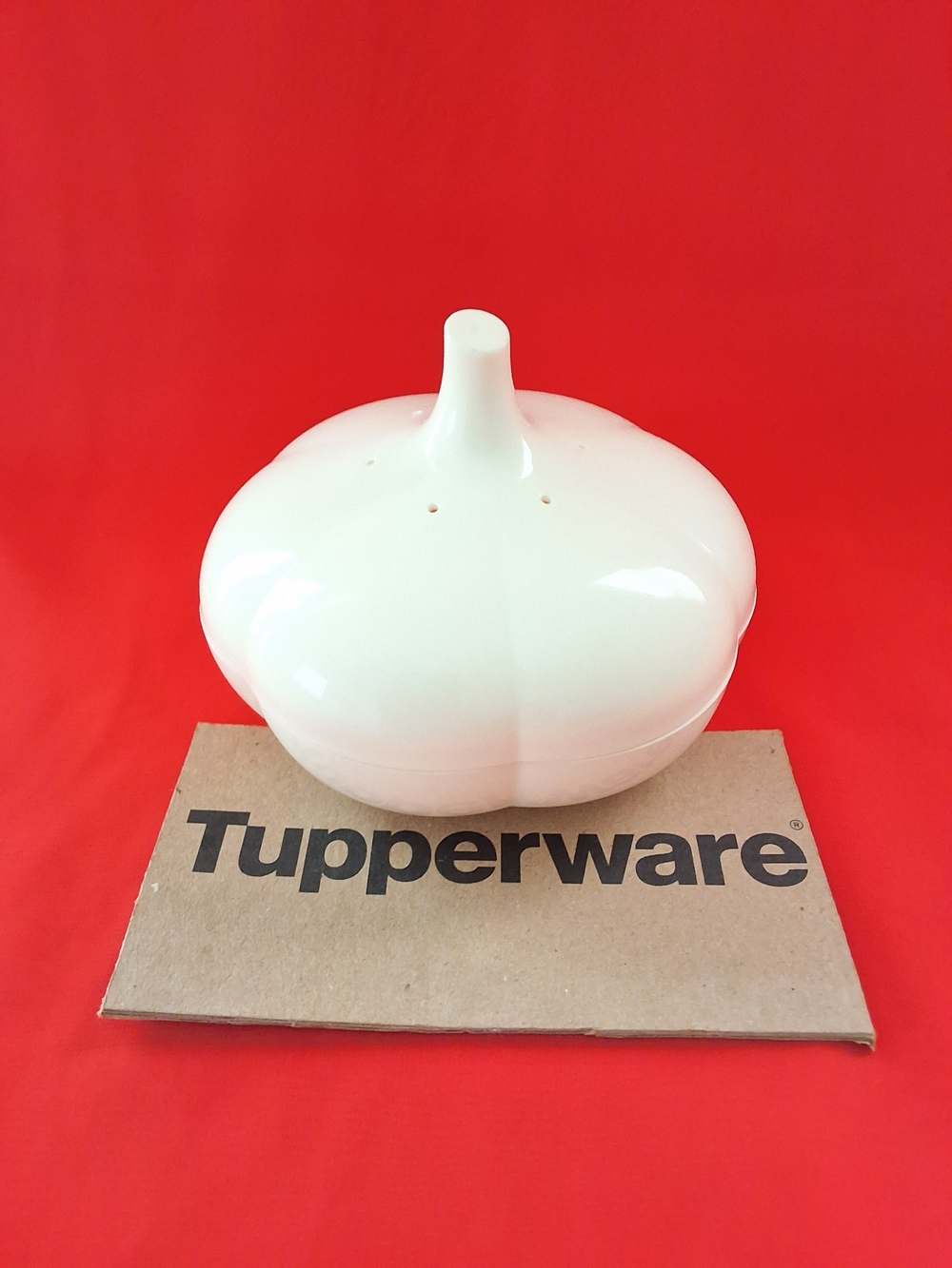 Tupperware Garlic Keeper